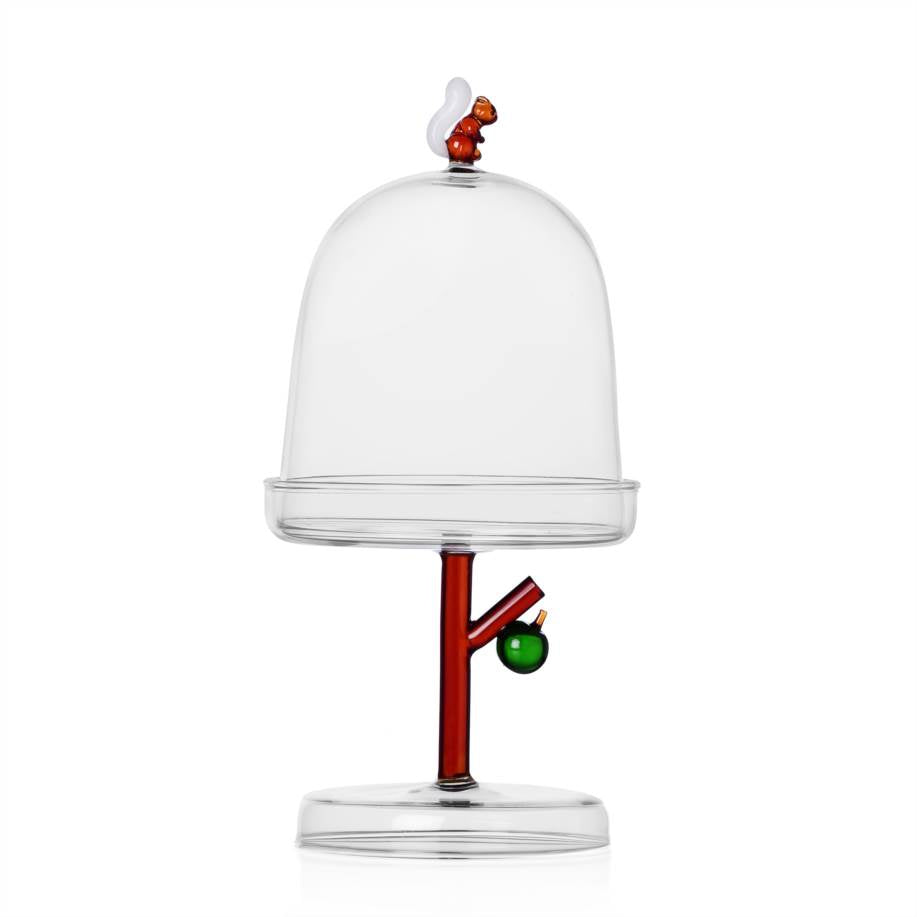 FRUITS&FLOWERS dome w/dish squirrel